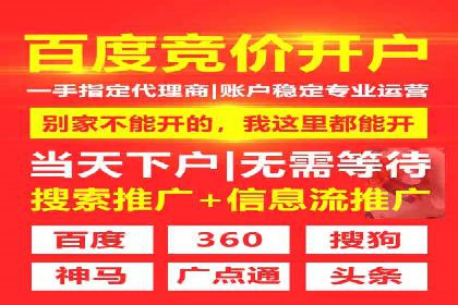 成功案例：网络推广与竞价广告的完美结合